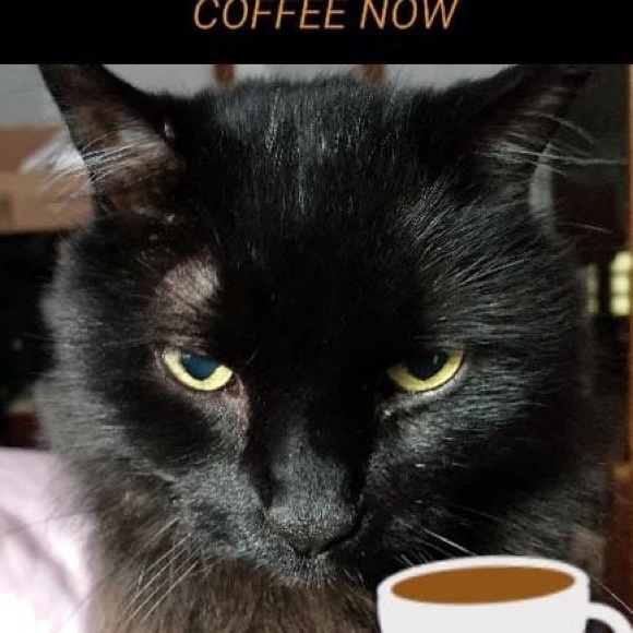 Meet your Posher, Kathryn m - Picture 1 of 1